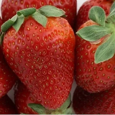 Клубника ФЛАМИНИЯ  Клубника ФЛАМИНИЯ в Казани