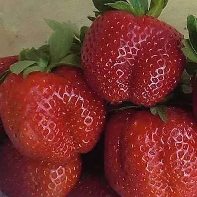 Клубника ДЕСТЕНИ  Клубника ДЕСТЕНИ в Казани