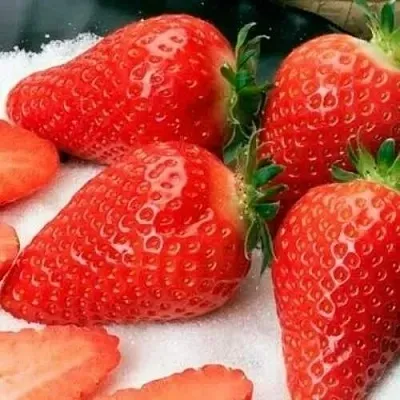 Клубника АЛЬБА  Клубника АЛЬБА в Казани