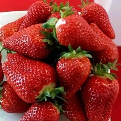 Клубника БРИЛЛА в Казани